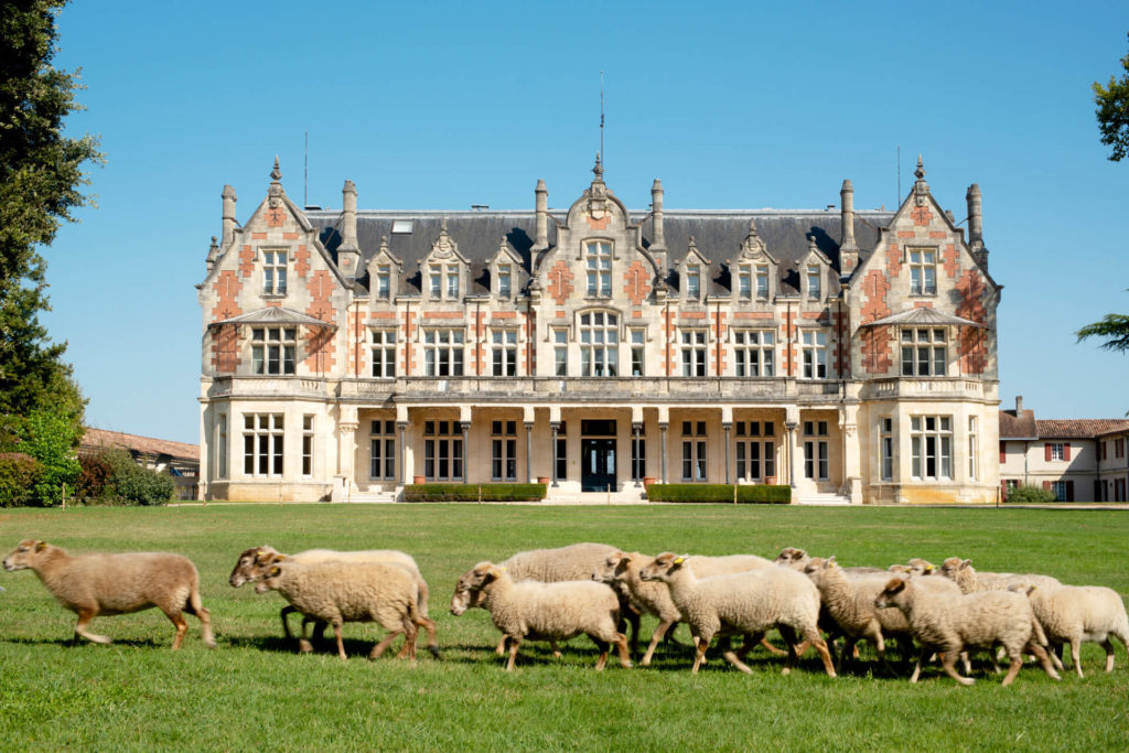 Château Cantenac Brown