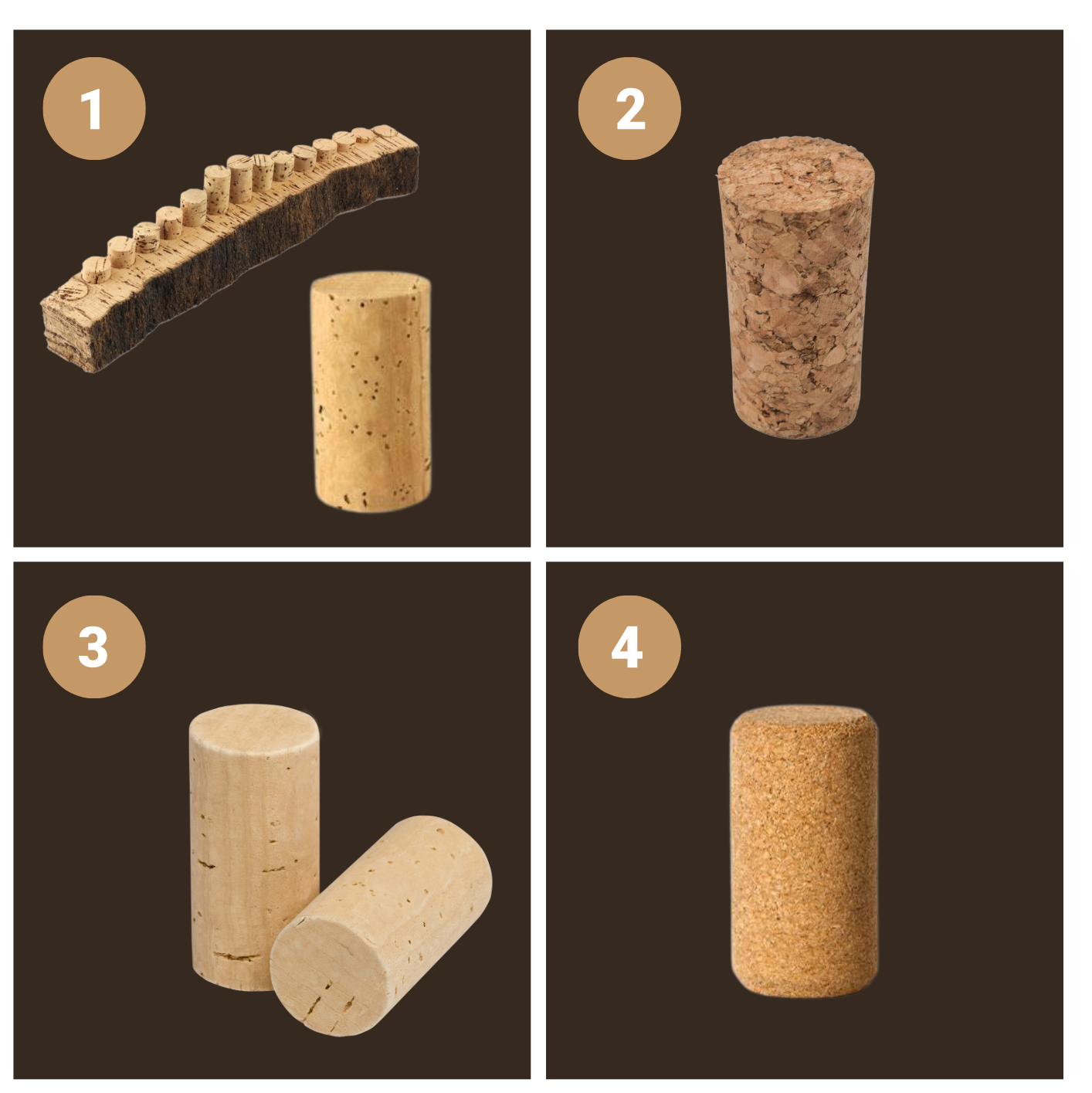 Les quatre différents types de bouchons en liège. 

1) En haut à gauche, le bouchon en liège tubé dans le chêne liège
2) En haut à droite, le bouchon en lige aggloméré avec des granulats de liège
3) En bas à gauche, le bouchon en liège colmaté avec du liant et de la poudre de liège
4) En bas à droite, le bouchon en liège micro-aggloméré avec de la poudre de liège